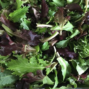 Salad Mix - 1 bag