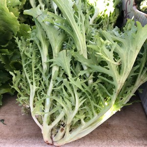 Endive, Frisee - 1 head