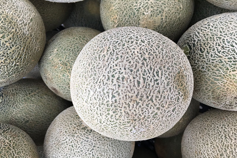 Melon - 1 medium