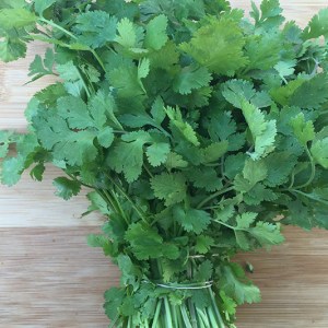 Herb, Cilantro - 1 bunch