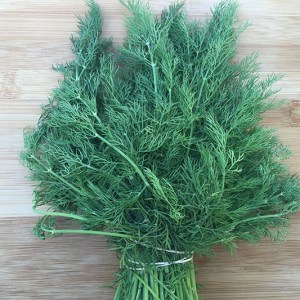 Herb, Dill - 1 bunch