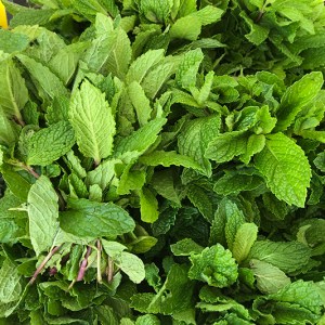 Herb, Mint - 1 bunch