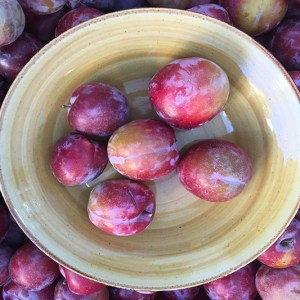 pluots