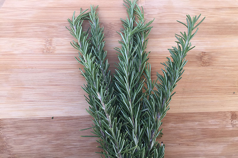 Herb, Rosemary - 1 bunch