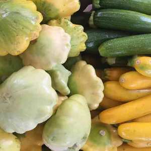 summersquash