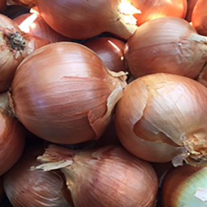 LHD picture onion storage