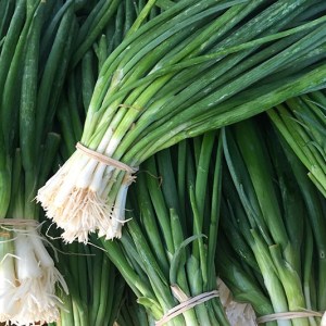 Onions, Green "Scallion" -  1 bunch