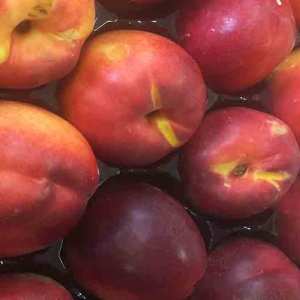 LHD picture stone fruit nectarines