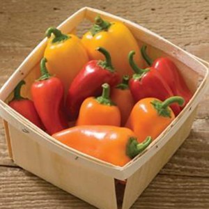 Peppers, Lunchbox - 1 basket