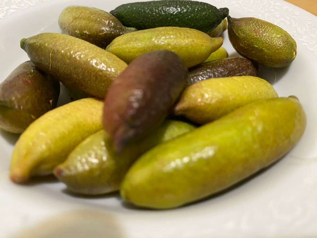 Limes, Finger Limes - 5/6 pcs