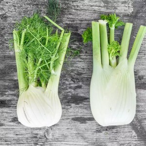 Fennel - 1 bulb