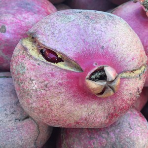 LHD picture pomegranate