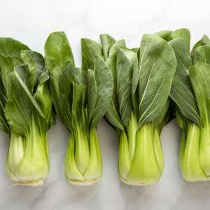 Bok Choy - 1 each or 1 bunch
