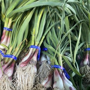 Garlic, Green -  1 bunch