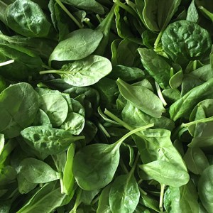 LHD picture spinach baby
