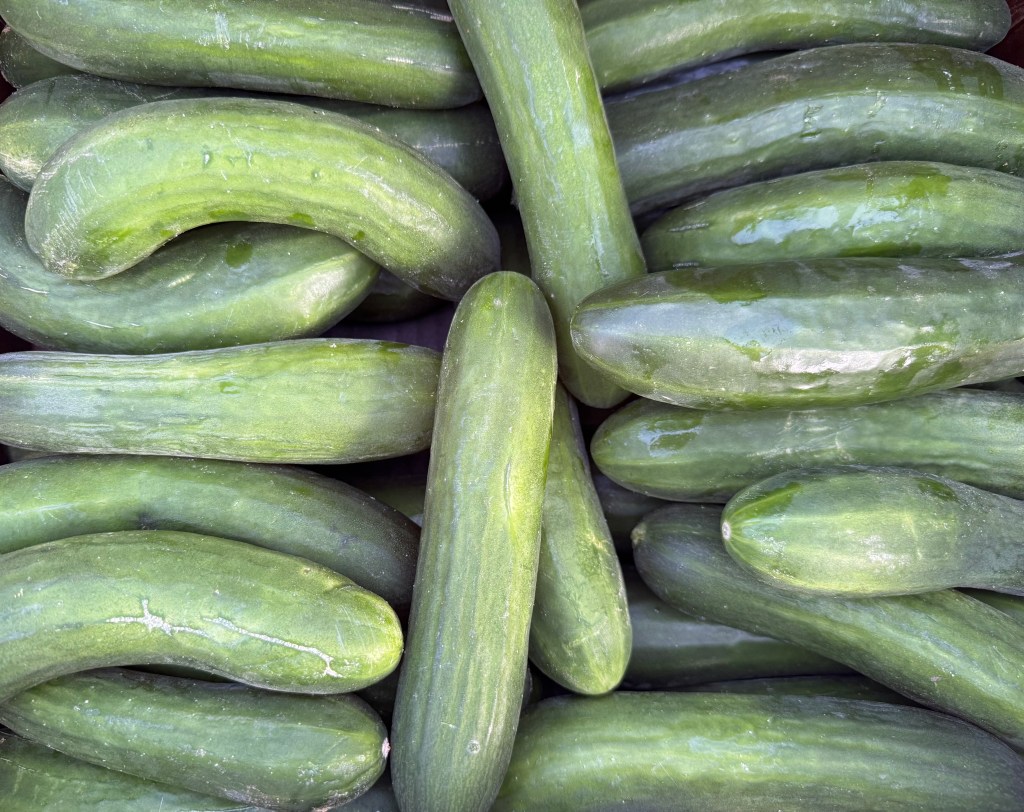 Cucumbers, Slicer - 2 each