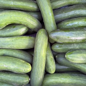 Cucumbers, Any Variety - around 1 pound