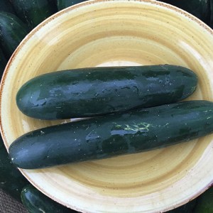 Cucumber, Pickling/persian/others - around 1 pound