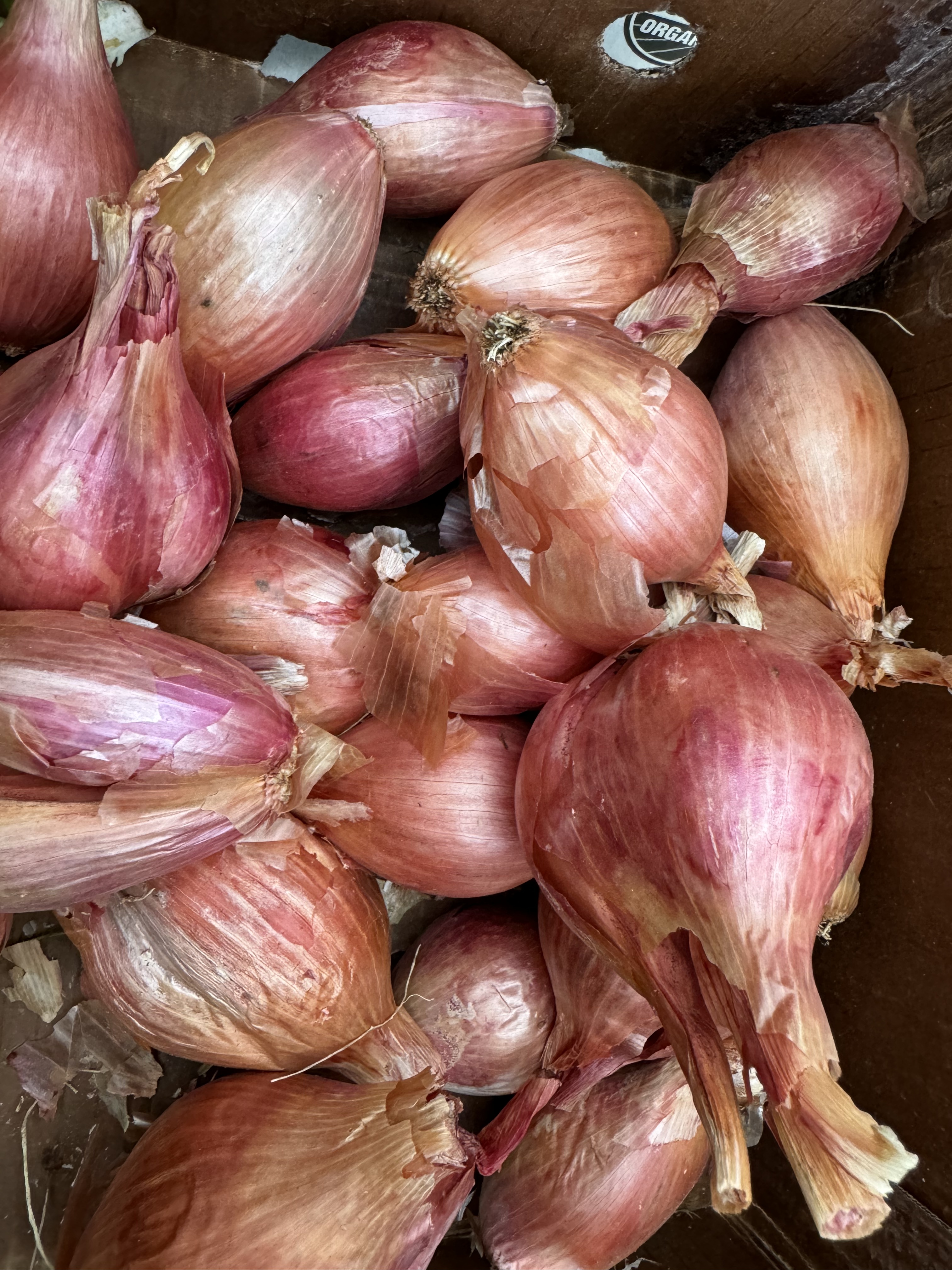 Shallot - 1/2 pound