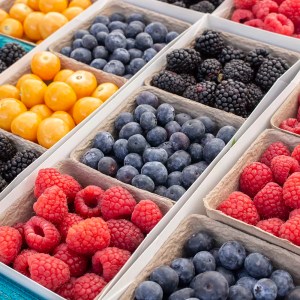 Berries,  3 pack - Mixed