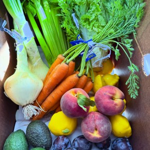 Big Harvest Box — Saturday, Oct 24th